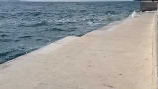 Sea Organ Zadar Croatia [upl. by Irmina978]