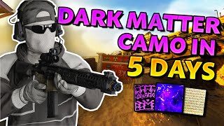 I unlocked the DARK MATTER CAMO on Black Ops 6 in 5 DAYS [upl. by Notanhoj]