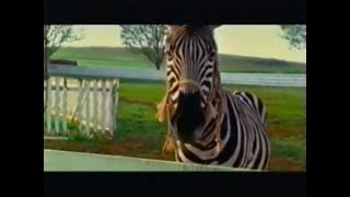 Racing Stripes 2004  TV Spot 1 [upl. by Eelarak]