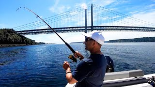 Fishing the Narrows Puget Sound Bottom Fishing [upl. by Nima]