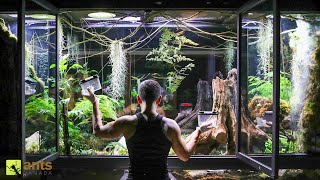 I Added Animals Into My Giant Rainforest Vivarium [upl. by Rawna]