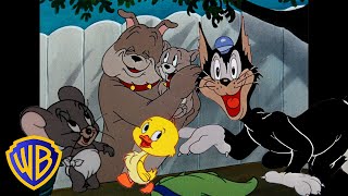 Tom amp Jerry  Best Side Characters 🐣🐶  Classic Cartoon Compilation  wbkids​ [upl. by Ekram]