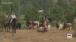 Encierros en Riópar  Ancha es CastillaLa Mancha [upl. by Hamer]