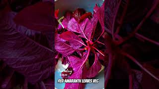 NUTRITIOUS RED AMARANTH LEAVES VEG healthylifestyle nutrition amaranthleaves healthyeating [upl. by Artair]