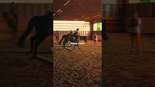 😨🐎 Horse Jumping FAIL shorts horseriding horsebackriding [upl. by Yates]