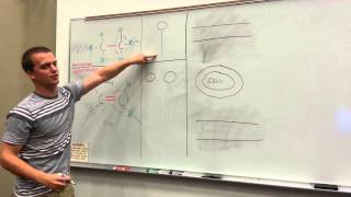 Different Kinds of Fatty Acids Saturated vs Unsaturated Trans  Cis [upl. by Riccardo345]