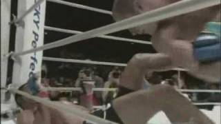 Fedor Emelianenko vs Antonio Rodrigo Nogueirawmv [upl. by Nirre]