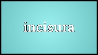 Incisura Meaning [upl. by Oiralednac]