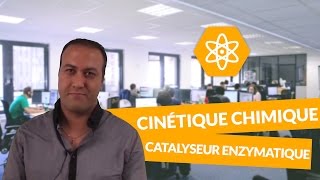 Cinétique chimique  Le catalyseur enzymatique  PhysiqueChimie  Terminale S  digiSchool [upl. by Iggy]