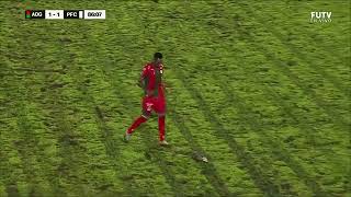 Opossum Infiltrates Football Match  Zarigüeya Interrumpe Partido de Fútbol  Costa Rica Guanacaste [upl. by Akelam234]