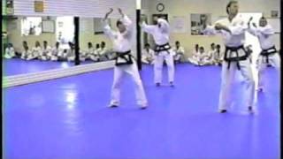 Traditional Taekwondo Black Belt Hyung Po Eun in 1994 [upl. by Selemas]