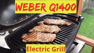 Weber Q1400 Electric Grill [upl. by Yuk]