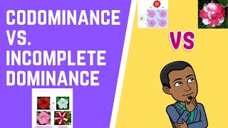 Codominance vs Incomplete Dominance [upl. by Liva]