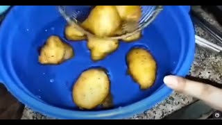 DHAI BHALLY RECIPE in 10 Minutes [upl. by Godiva]