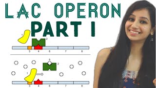 Lac Operon  Regulation of Gene Expression Part 1  Molecular BiologyLactoseLife Science [upl. by Shriner]