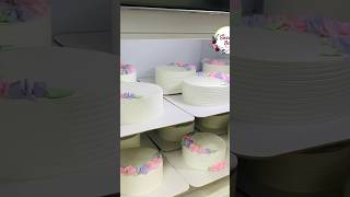 6 മണിക്കൂറിൽ 12 Cakes cakes baking cakerecipe reels shorts bulkorder business [upl. by Payton]