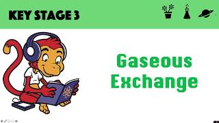 Gaseous Exchange [upl. by Katrinka]