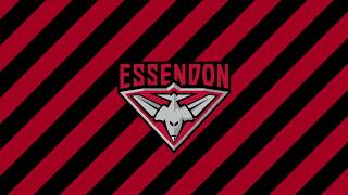 Essendon Bombers Theme Song 2025 [upl. by Eirised]