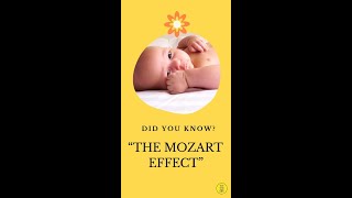 Mozart Effect [upl. by Leiahtan]