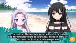 【English Subbed】 Haganai PSP Part 4  Beach Antics [upl. by Thurber694]