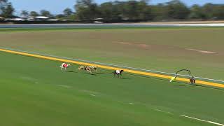 Bundaberg09092024Race7 [upl. by Eniladam]