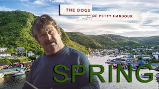 The Dogs Of Petty Harbour  Spring EP2 [upl. by Ahsotal]