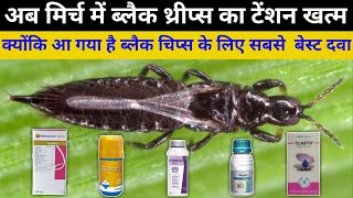 Black thrips control best insecticide  ब्लैक थ्रीप्स केलिए सबसे अच्छा किटनाशक [upl. by Heimlich]