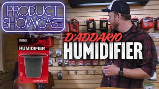 Tech Tip How to Humidify Guitar Correctly in Dry Climates  Protect Your Guitar Cheap and Easy [upl. by Naujaj780]