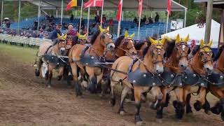 Römerwagen 12 spännig 2018 Titanen der Rennbahn [upl. by Christen]