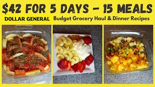 Dollar General Budget Grocery Haul amp Dinner Meals 42 for 5 days  15 meals [upl. by Lemaj]