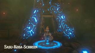 The Legend of Zelda Breath of the Wild Nebenaufgabe Die schwarze Serie [upl. by Aroc449]