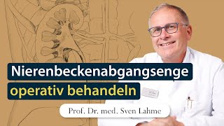 Nierenbeckenabgangsenge mit da Vinci Roboter operieren [upl. by Burra156]