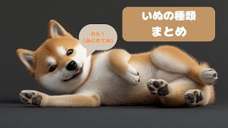 犬の種類まとめの紹介 パグ 柴犬 ラブラドール など [upl. by Imailiv638]