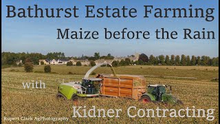 2019 Maize Harvest before the rain at Bathurst Estate Farming [upl. by Buine772]