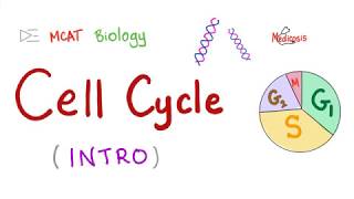 Cell Cycle  Biology MCAT [upl. by Johnna]