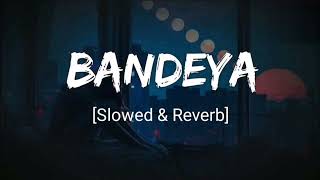 bandeya re bandeya lyrical  lofi song slowedreverb [upl. by Ellemrac]