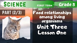 Science  Grade 5  Food relationships among living organisms  Part 23  Unit Three  Lesson One [upl. by Leiru]