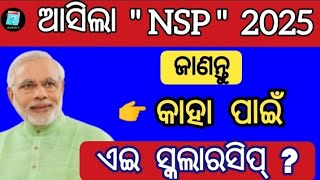 nsp scholarship 2024 25  nsp scholarship eligibility  nsp 2024  government of india scholarship [upl. by Sam]