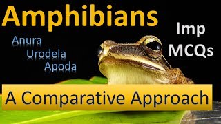 Amphibians  Features Comparison  Anura Urodela Apoda Important MCQs  PPSC Biology [upl. by Karney]