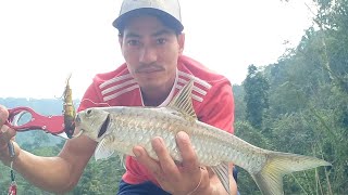 copper mahseer zerek fish trap at pare river [upl. by Airahcaz]