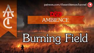 RPG  DampD Ambience  Burning Field flames crows fire flames ambience [upl. by Elicec833]