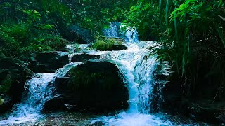 Nature Sounds Waterfall for Relaxation Meditation Relaxing Calm River Water flow for Sleeping [upl. by Orji200]