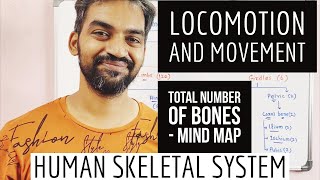 Number of bones  Human skeletal system  Locomotion and movement [upl. by Llahsram]