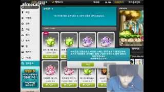 메이플스토리 BJ팡이요의 로얄스타일100개까기2 maplestory [upl. by Stelle860]