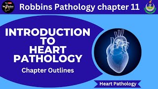 Heart Pathology Robbins Pathology chapter 11Robbins Pathology lectures pathology heart robbins [upl. by Seton]