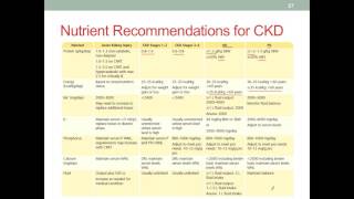 MNT CKD Part 3 Nutrition Therapy [upl. by Schaper]