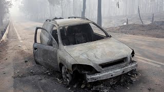 Incêndio de Pedrógão Grande volta ao Parlamento esta quintafeira [upl. by Vaios]