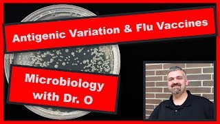 Antigenic Variation and the Flu Vaccine Microbiology [upl. by Elmira2]