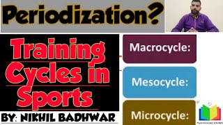 What is Periodization Sports Training Cycle – Micro Meso Macro Cycle [upl. by Schmidt]