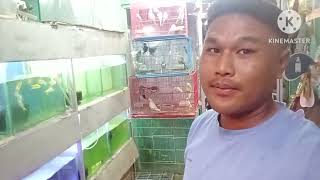 Agartala Thang mani vlog video 05112024 [upl. by Atrahc276]